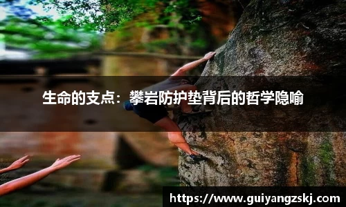 万向娱乐注册