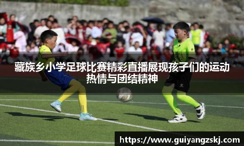 万向娱乐登录