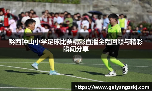 万向娱乐注册