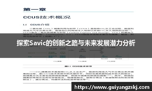 探索Savic的创新之路与未来发展潜力分析