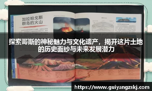 万向娱乐
